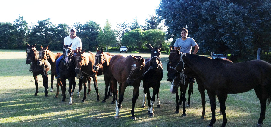 la Candelaria Polo Campo, Gustavo CAPPELLARI josé