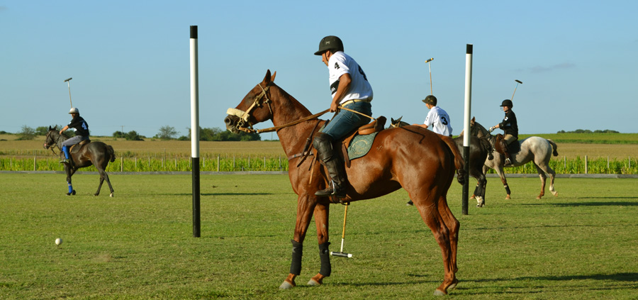 la Candelaria Polo Campo, Gustavo CAPPELLARI josé puebla